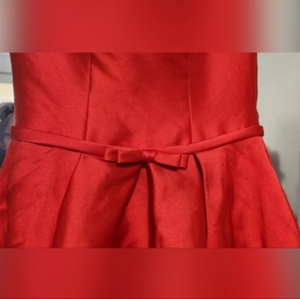 Red Vintage Style Dress - Picture 3 of 3
